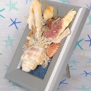 Coastal Beach Vibe Sea Shell Art